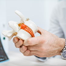 A hand holding a full-color 3D printed model of a spine